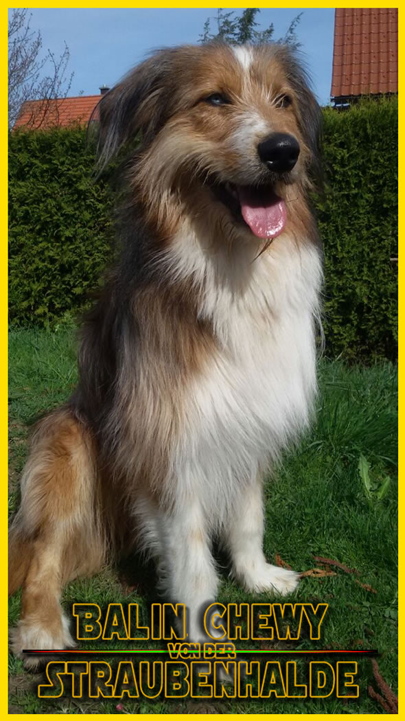 Balin Chewy von der Straubenhalde